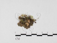 登錄號:F0026669藏品圖，第1張