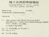 登錄號:F0026671藏品圖，第2張