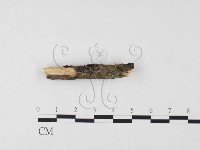 登錄號:F0026671藏品圖，第1張