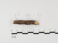 登錄號:F0026671藏品圖，第3張