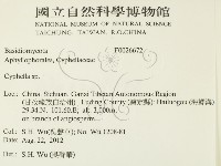 登錄號:F0026672藏品圖，第2張
