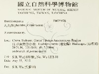 盤革菌屬藏品圖，第2張