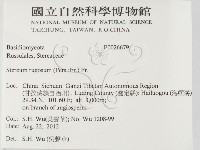 登錄號:F0026679藏品圖，第2張