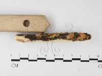 登錄號:F0026680藏品圖，第3張