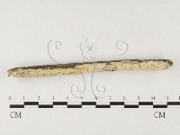 登錄號:F0026681藏品圖，第1張