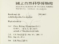 絲齒菌屬藏品圖，第2張