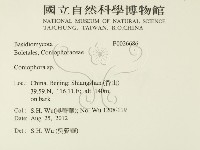 登錄號:F0026686藏品圖，第2張