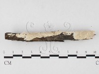 登錄號:F0026687藏品圖，第3張