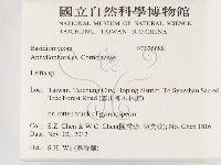 登錄號:F0026688藏品圖，第2張