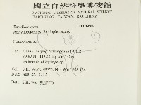 筍殼菌屬藏品圖，第2張