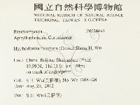登錄號:F0026691藏品圖，第2張