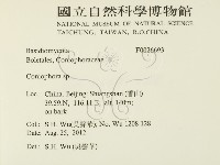 登錄號:F0026693藏品圖，第2張