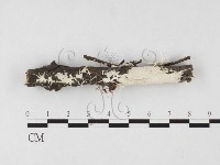登錄號:F0026695藏品圖，第1張