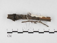 登錄號:F0026695藏品圖，第3張