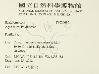 登錄號:F0026696藏品圖，第2張