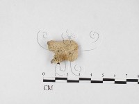 登錄號:F0026696藏品圖，第3張