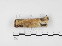 登錄號:F0026698藏品圖，第1張