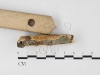 登錄號:F0026698藏品圖，第3張