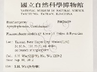 登錄號:F0026699藏品圖，第2張