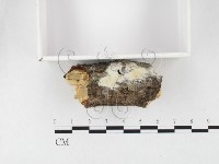 登錄號:F0026699藏品圖，第3張