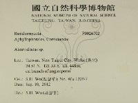 登錄號:F0026702藏品圖，第2張