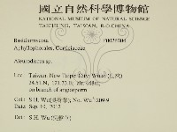 登錄號:F0026704藏品圖，第2張