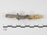 登錄號:F0026704藏品圖，第3張