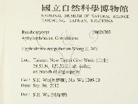 登錄號:F0026705藏品圖，第2張