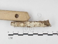登錄號:F0026705藏品圖，第3張