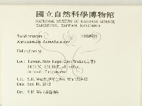 登錄號:F0026706藏品圖，第2張