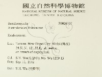 登錄號:F0026707藏品圖，第2張