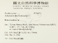 登錄號:F0026710藏品圖，第2張