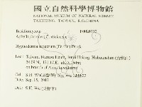 剛毛絲皮菌藏品圖，第2張