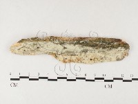 登錄號:F0026714藏品圖，第3張