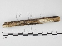 登錄號:F0026715藏品圖，第1張