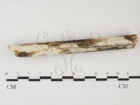 登錄號:F0026715藏品圖，第3張