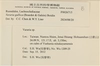 登錄號:F0026715藏品圖，第4張