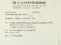 登錄號:F0026718藏品圖，第2張