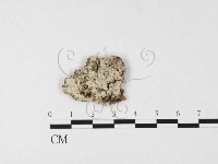 登錄號:F0026718藏品圖，第1張