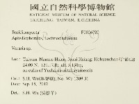 登錄號:F0026720藏品圖，第2張