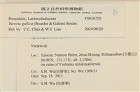 登錄號:F0026720藏品圖，第4張