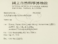 登錄號:F0026723藏品圖，第2張