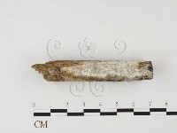 登錄號:F0026723藏品圖，第1張