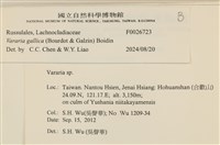 登錄號:F0026723藏品圖，第4張