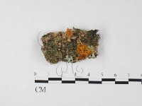 登錄號:F0026726藏品圖，第1張