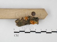 登錄號:F0026726藏品圖，第3張