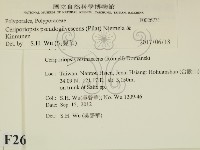 登錄號:F0026731藏品圖，第2張