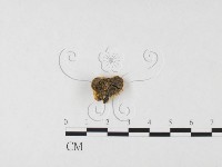 登錄號:F0026731藏品圖，第3張