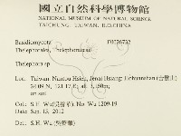 革菌屬藏品圖，第2張