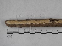 登錄號:F0026737藏品圖，第1張